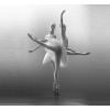 Ballet Artistic Photos_14